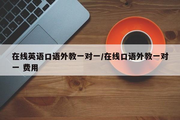 在线英语口语外教一对一／在线口语外教一对一 费用