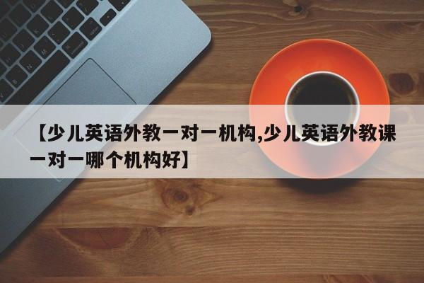 【少儿英语外教一对一机构,少儿英语外教课一对一哪个机构好】