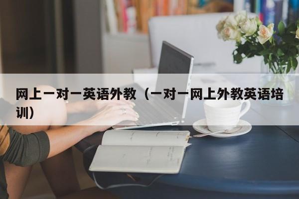 网上一对一英语外教（一对一网上外教英语培训）
