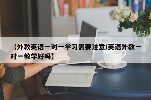 【外教英语一对一学习需要注意／英语外教一对一教学好吗】