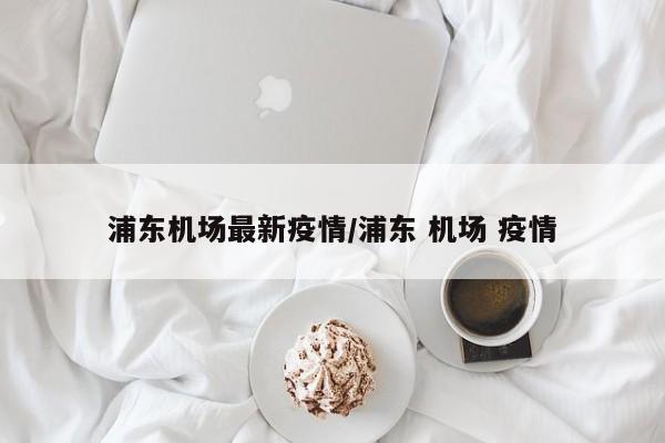 浦东机场最新疫情／浦东 机场 疫情