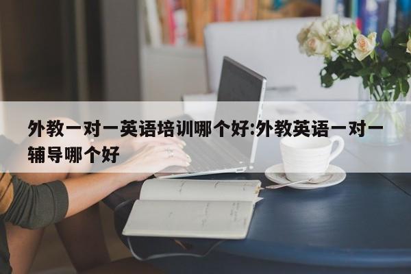 外教一对一英语培训哪个好：外教英语一对一辅导哪个好
