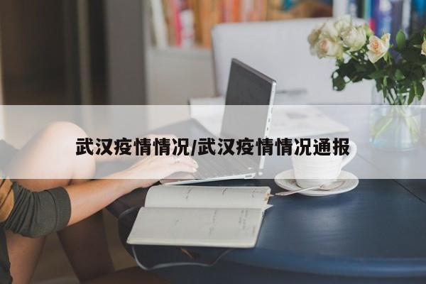 武汉疫情情况／武汉疫情情况通报