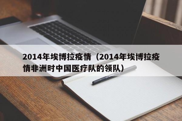 2014年埃博拉疫情（2014年埃博拉疫情非洲时中国医疗队的领队）